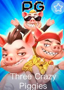 Three Crazy Piggies